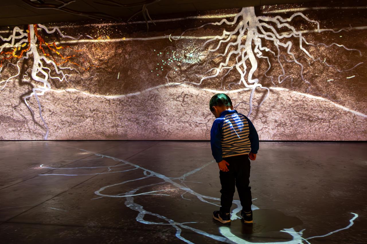 Pressoria - Ay-Champagne