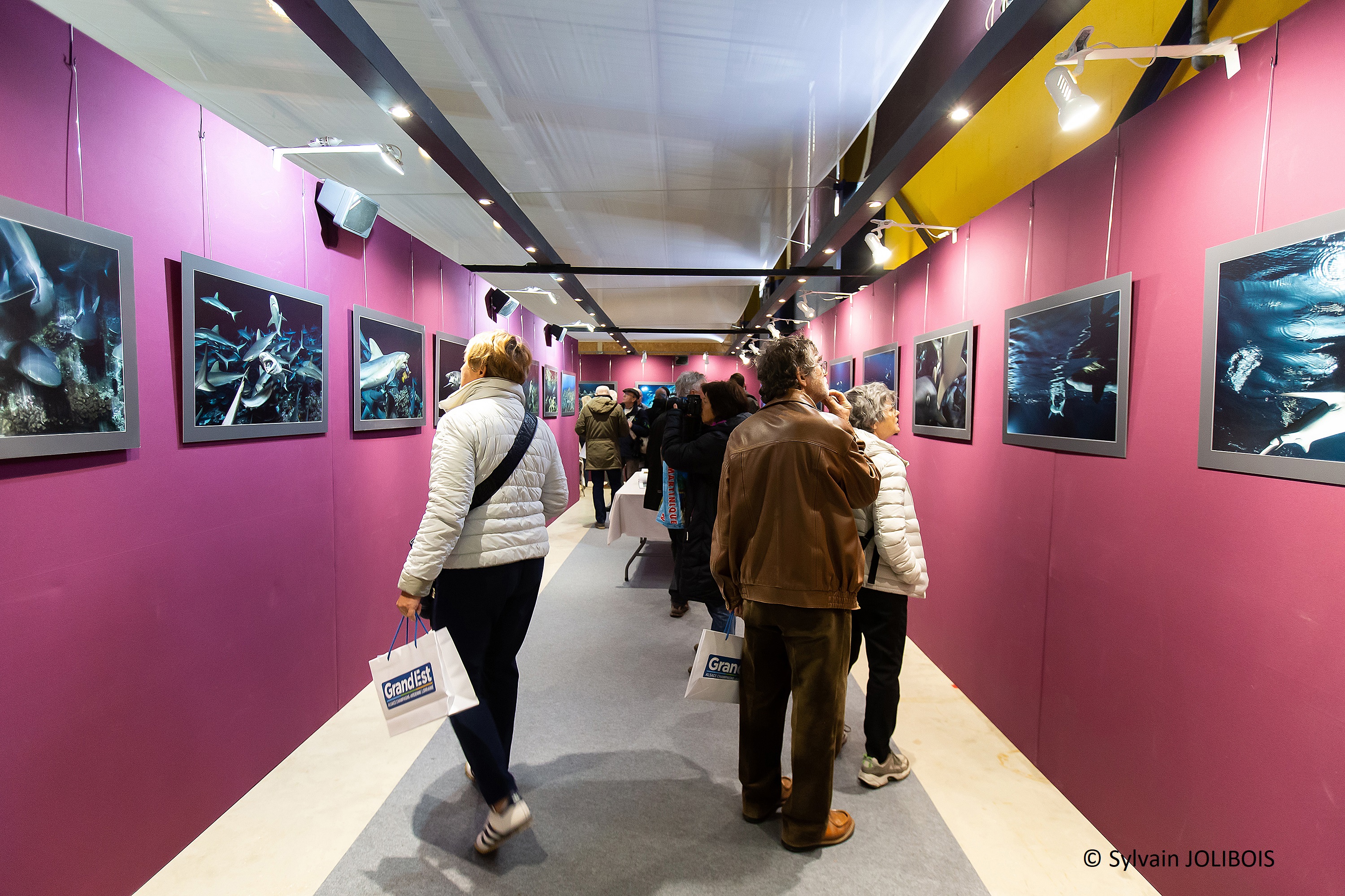 FESTIVAL PHOTO MONTIER EN DER - AFPAN "L'OR VERT" — photo 3