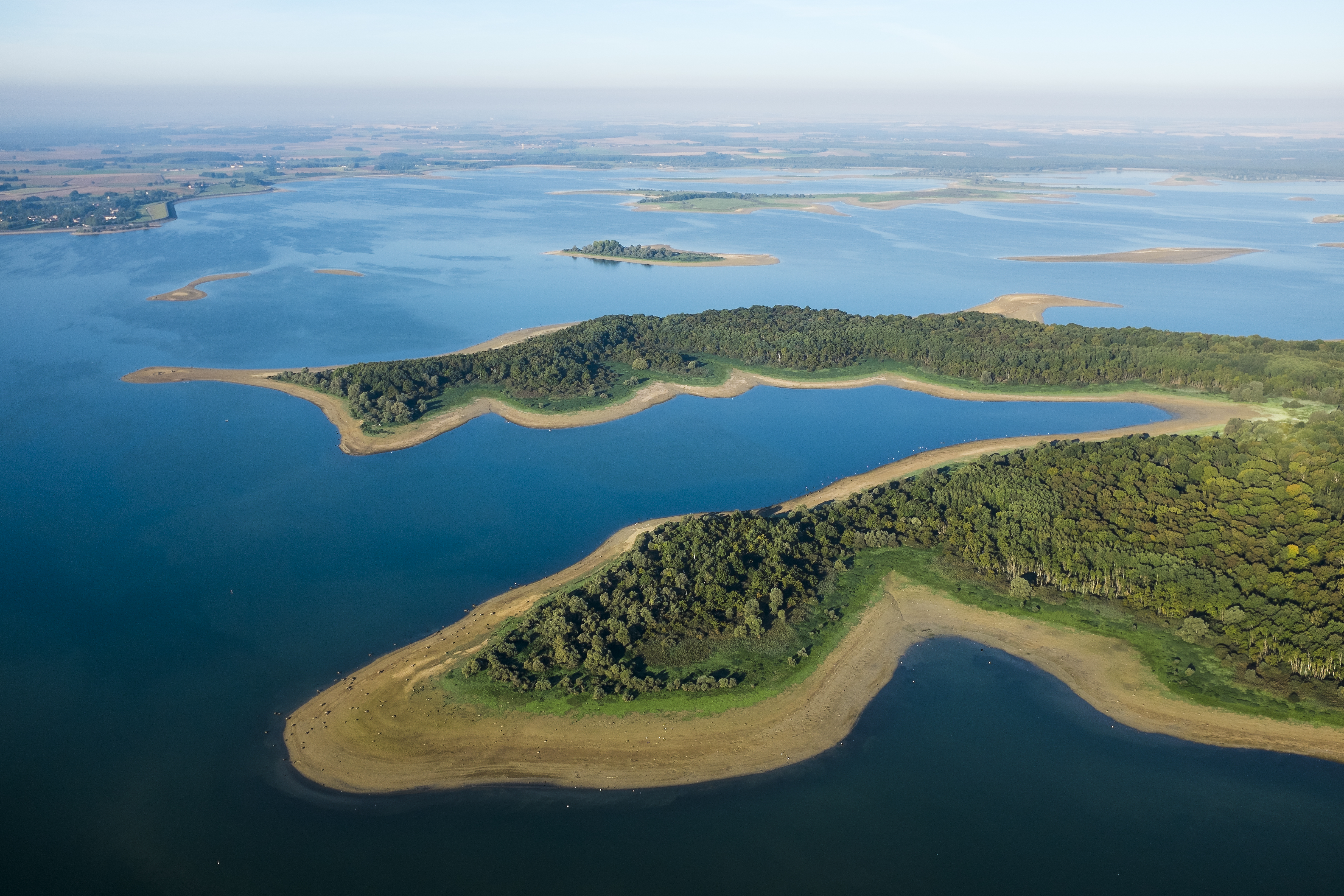 Didier du Val - Randonnées découvertes du Pays du Der