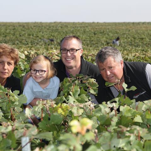 -champagne-Rogge-CERESER-2