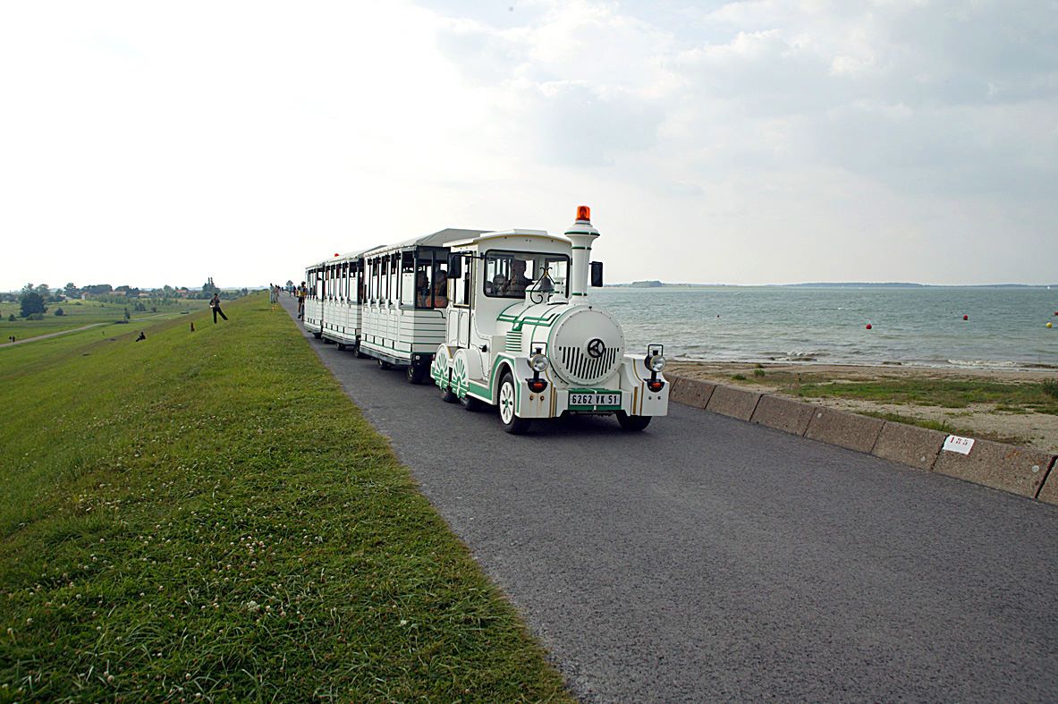 Train aux oiseaux