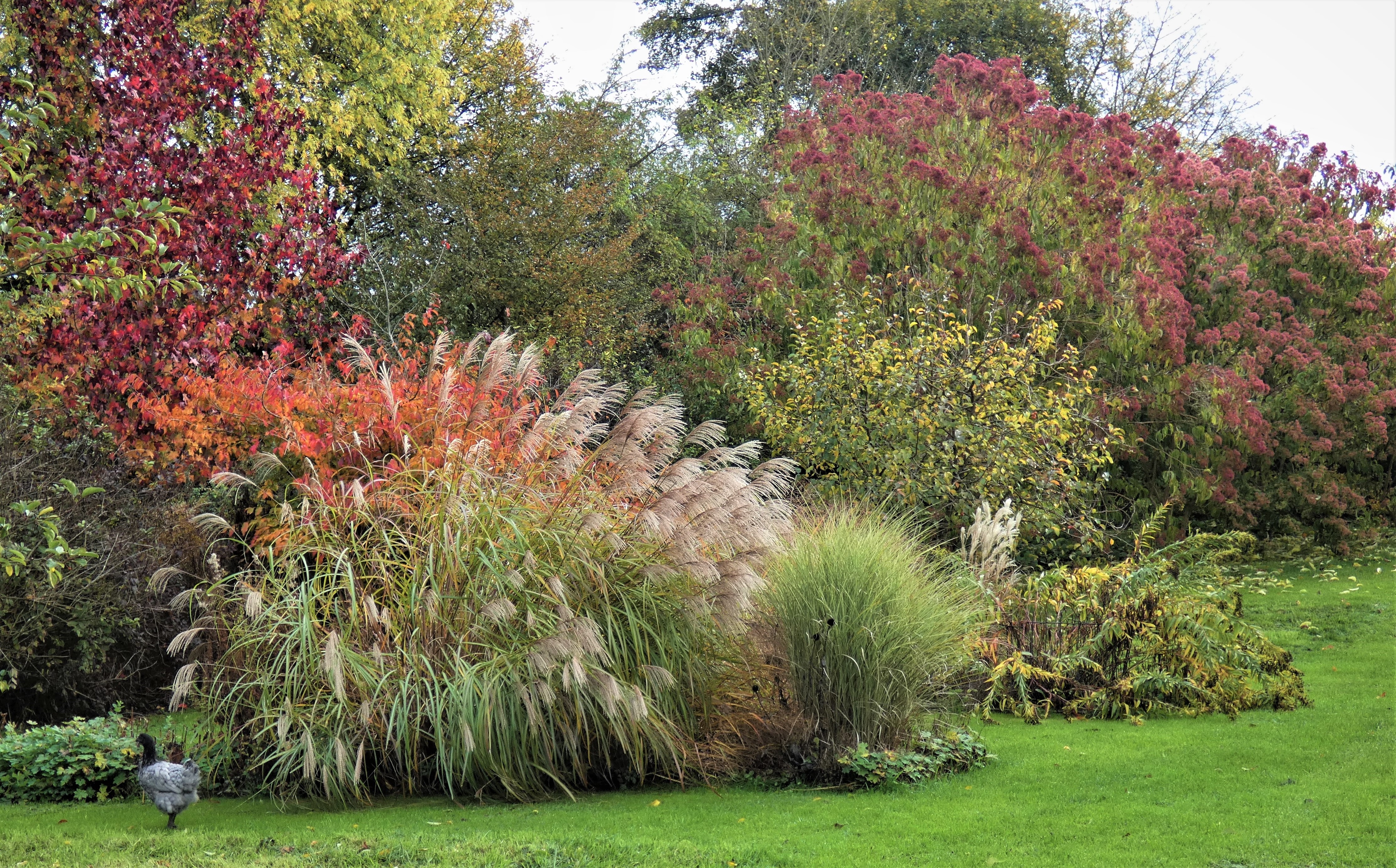 Portes ouvertes dans les Jardins : Jardin l'Eau Vive