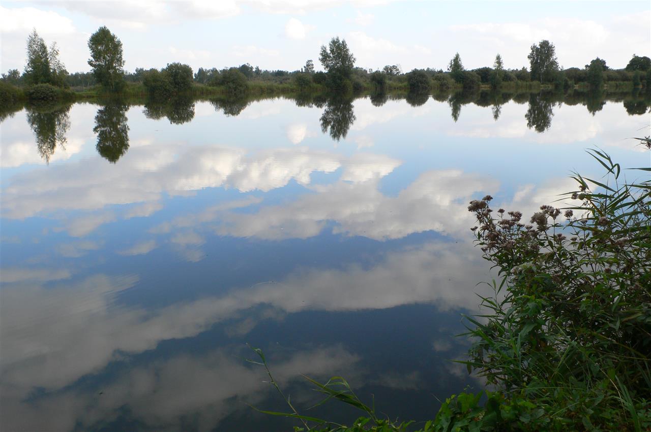 MARAIS DE SAINT GOND