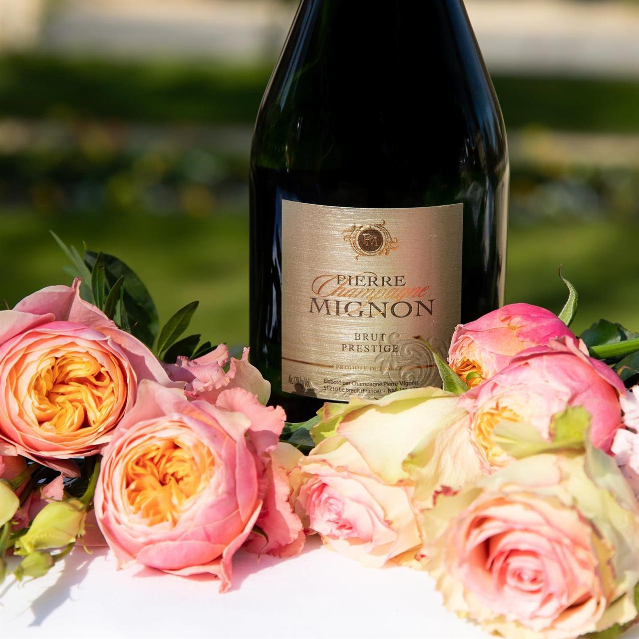 Champagne Pierre Mignon