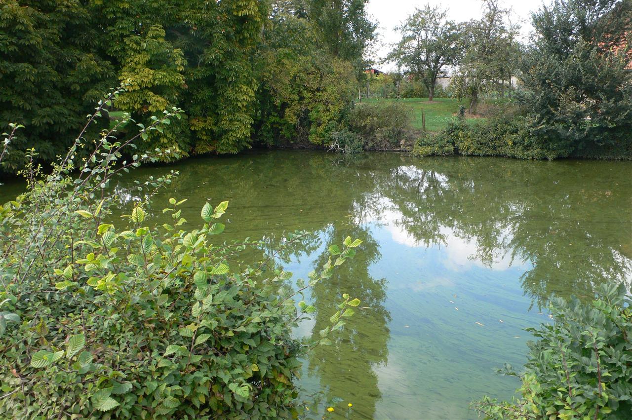 MARAIS DE SAINT GOND