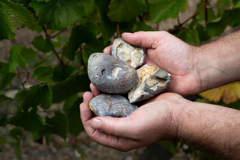 Domaine Collet à Fontaine-Denis-Nuisy (Marne)
Domaine Collet in Fontaine-Denis-Nuisy (Marne)