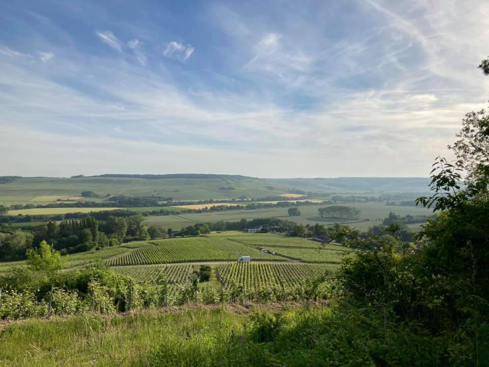 Champagne Yves Jacques