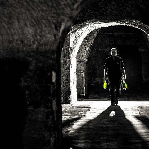 Circuit oenotouristique