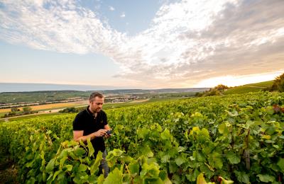 Champagne Alexis Leconte