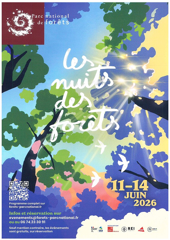 Les Nuits des forêts - En la forêt de longue attente — visuel événement