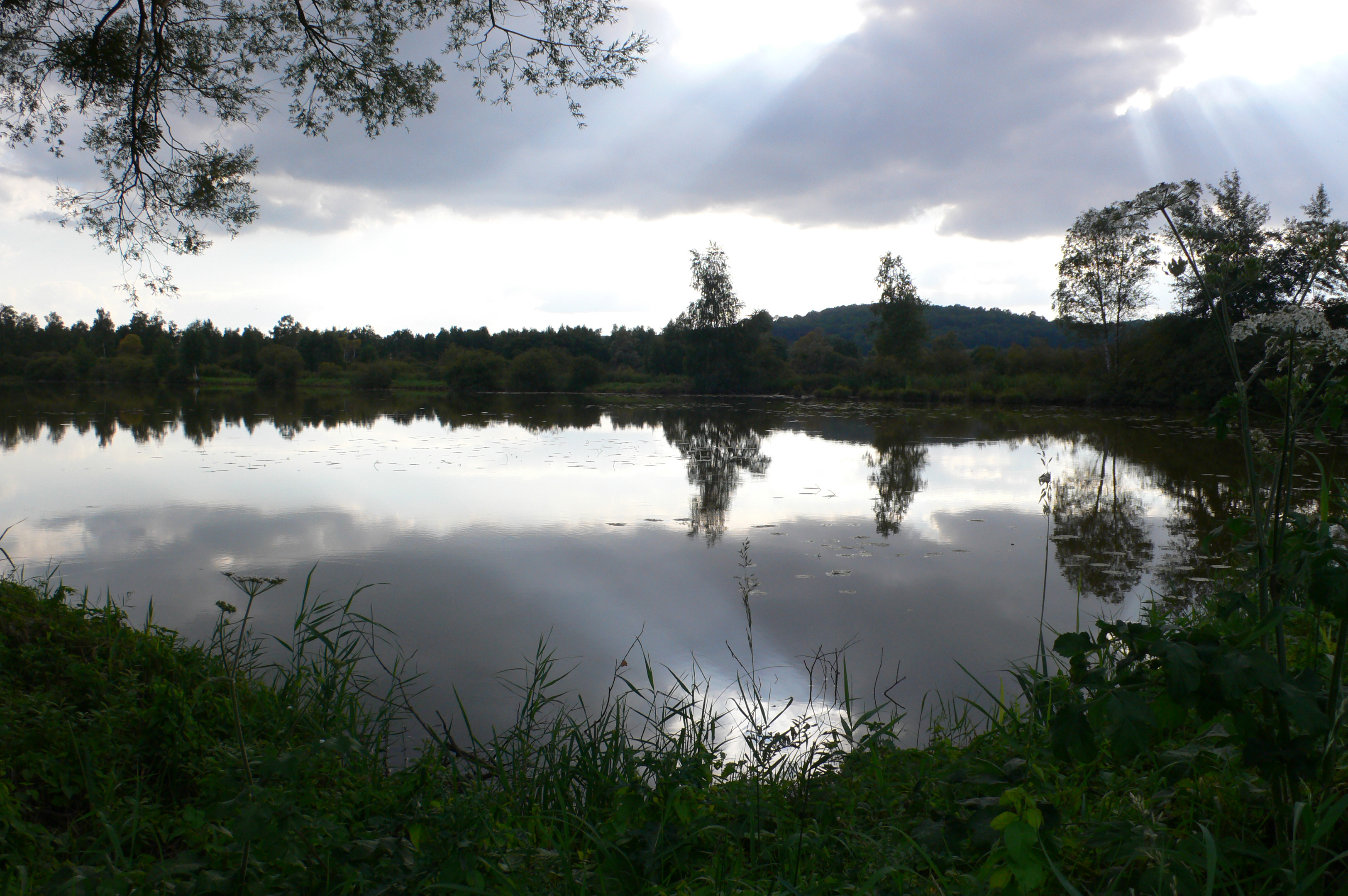 Valorisation des Marais de Saint Gond 