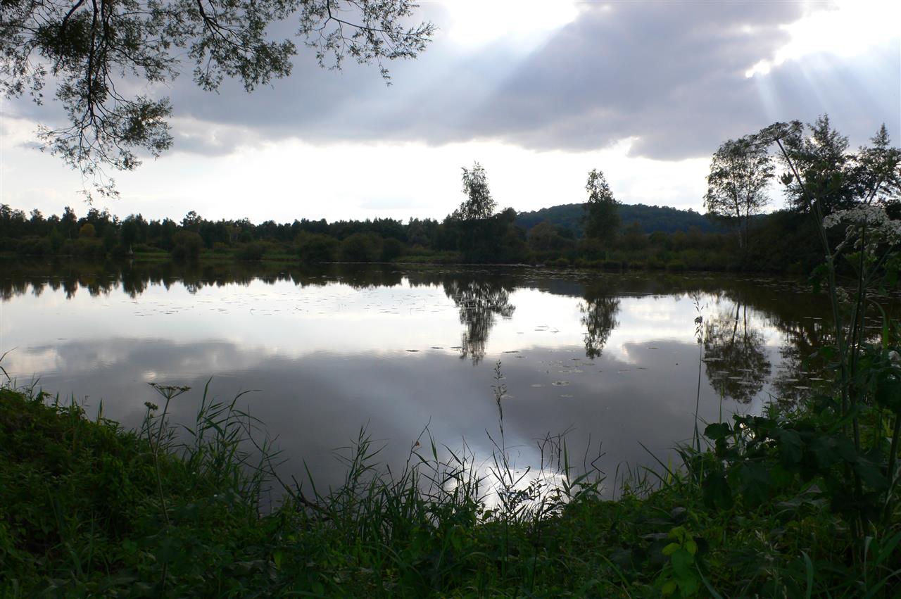 MARAIS DE SAINT GOND