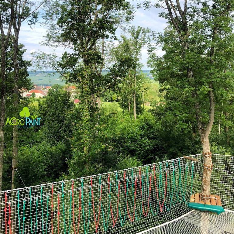 243152471_230723719093012_9076797487746753118_n