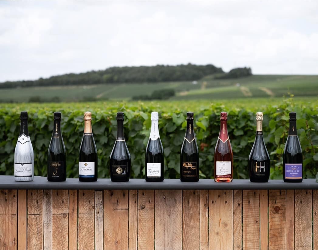 Dormans Effervescences