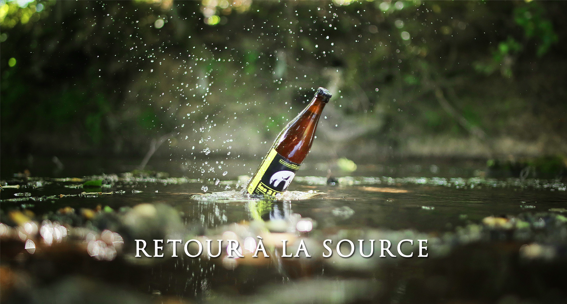 Brasserie Les 3 Loups