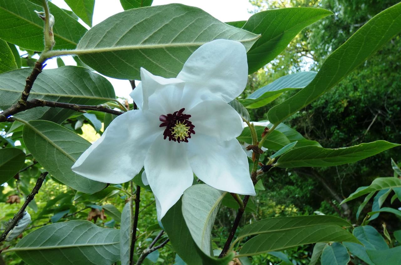 Le jardin de l'eau vive
