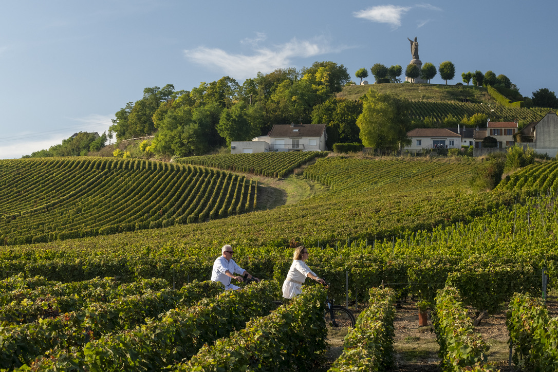 41704D3E-0BFB-4392-B101-0A6362202023_1_105_c copie