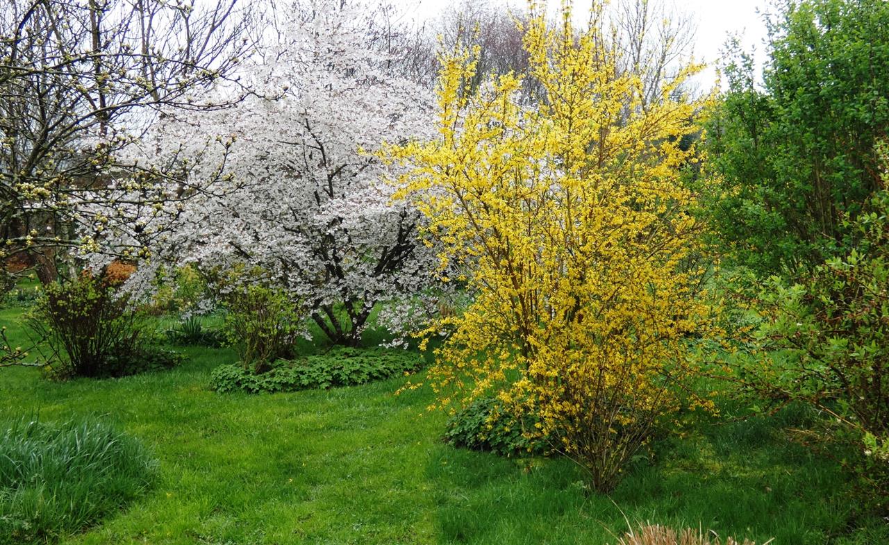 Jardin de L'Eau Vive
