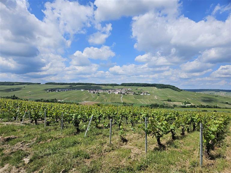 Chp Oriol-Dérouillat - Chouilly