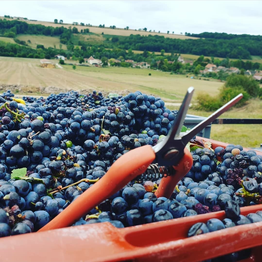 473829981_2614751912041719_9204245834313399066_n