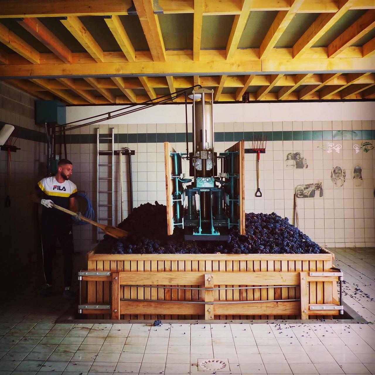 479181998_1346033146824036_2909787243868379738_n