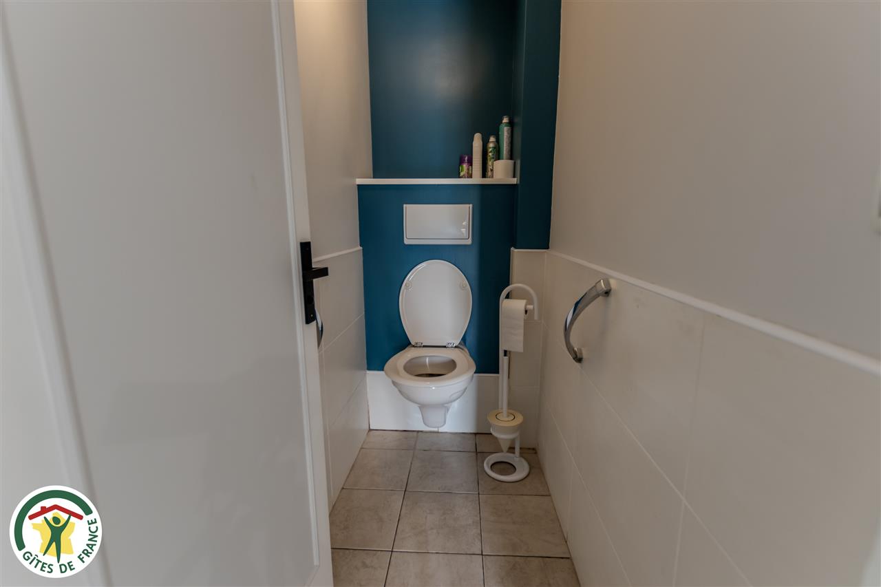 51G733 - Le pétillant - Le Breuil