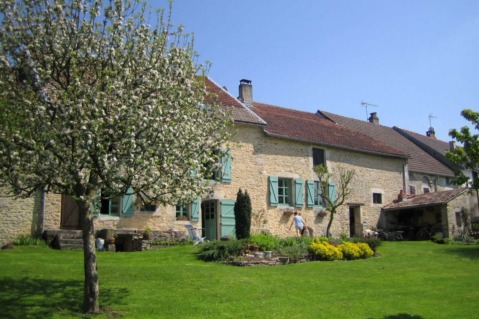 LES OMBELLES