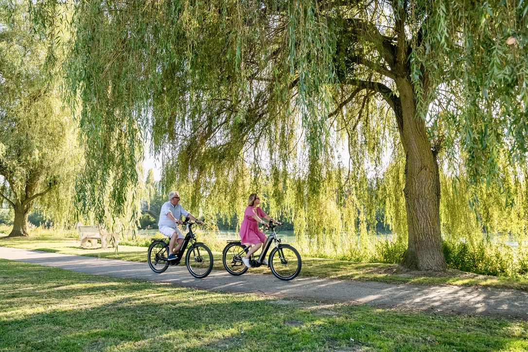 63D23CC5-A2CE-4C40-B4AF-465236B49D31_1_105_c copie