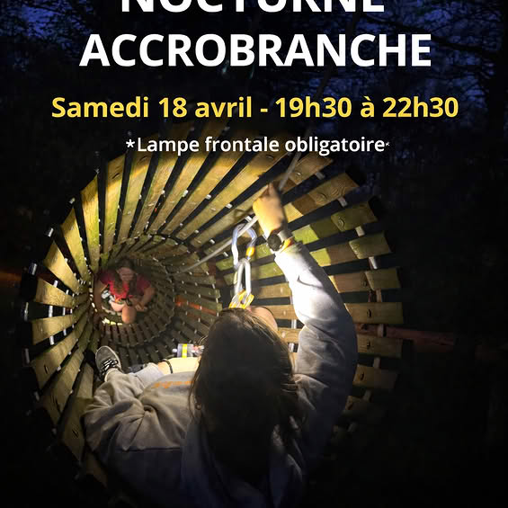 Nocturne accrobranche