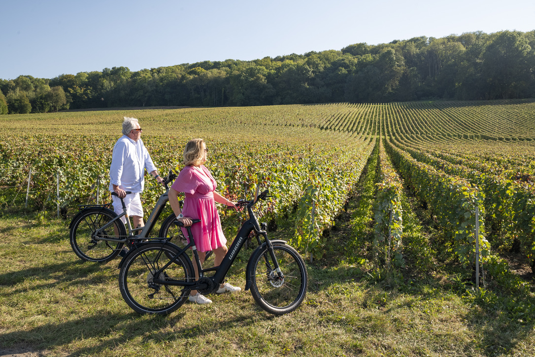 6D3B2B81-47C5-415F-9611-C6A18E938939_1_105_c copie