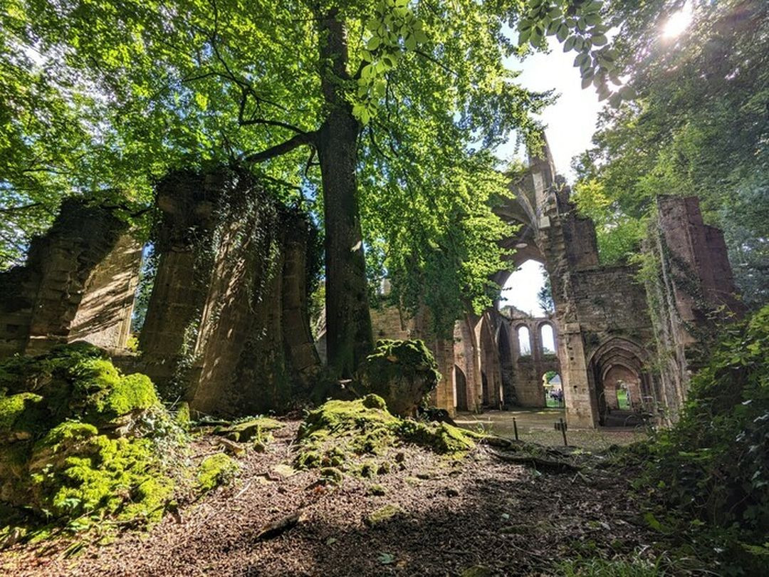 Rendez-vous aux Jardins à l'Abbaye de Trois-Fontaines