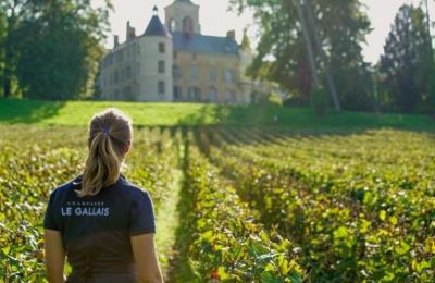 Champagne Le Gallais - Boursault