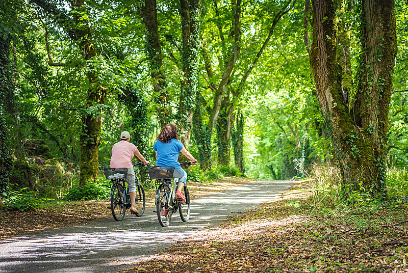 Saint-Jacques à vélo via Vézelay – V56