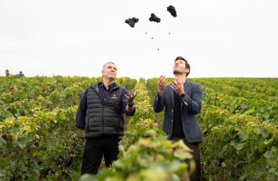 Thomas Lombard et Laurent Vaillant dans les vignes