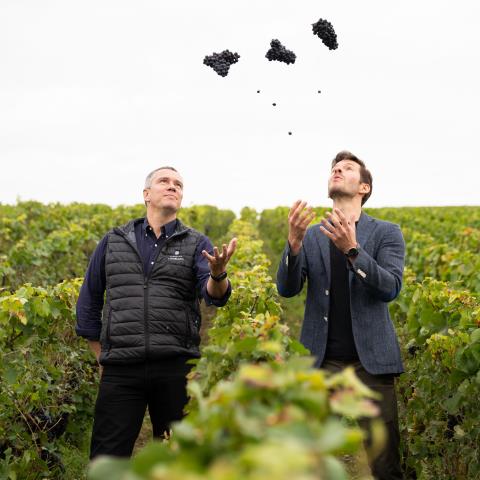 Thomas Lombard et Laurent Vaillant dans les vignes