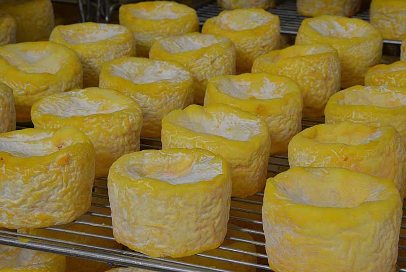 Fromagerie Schertenleib