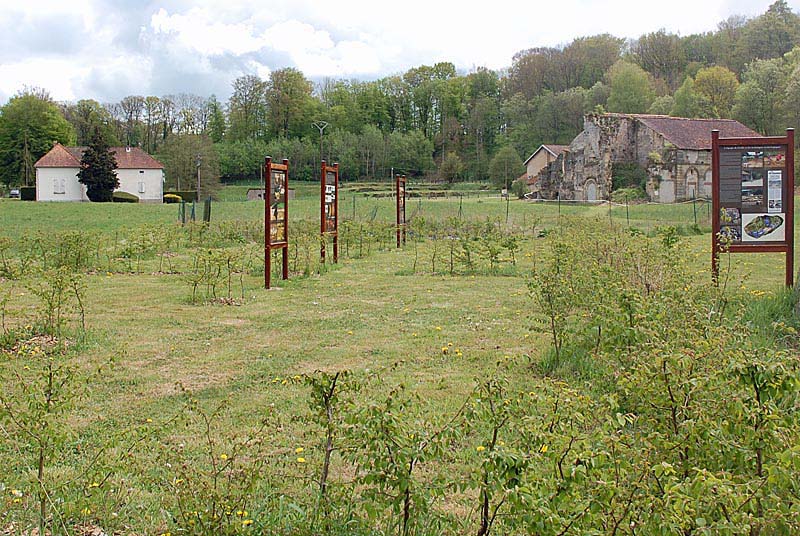 ABBAYE DE MORIMOND, Parnoy-en-Bassigny - photo 5