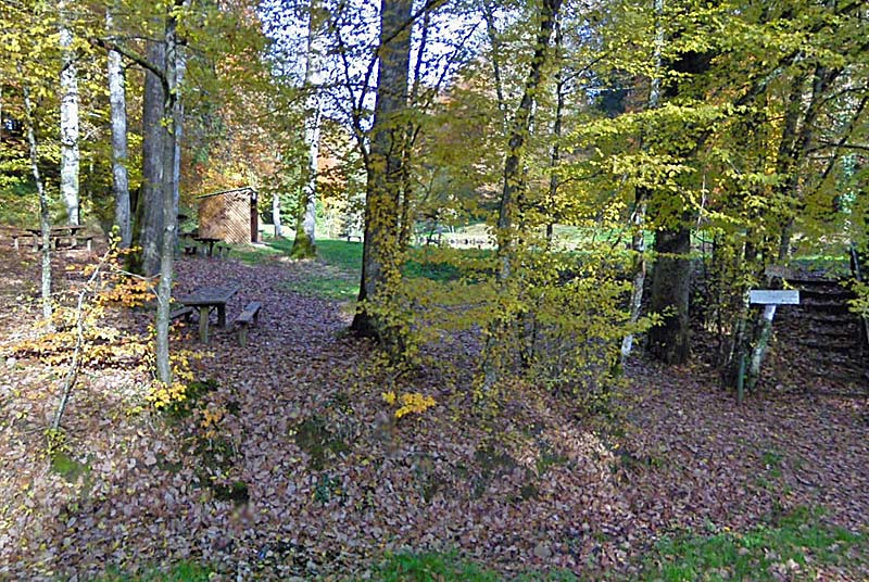 AIRE DE PIQUE-NIQUE DU BOIS BANAL