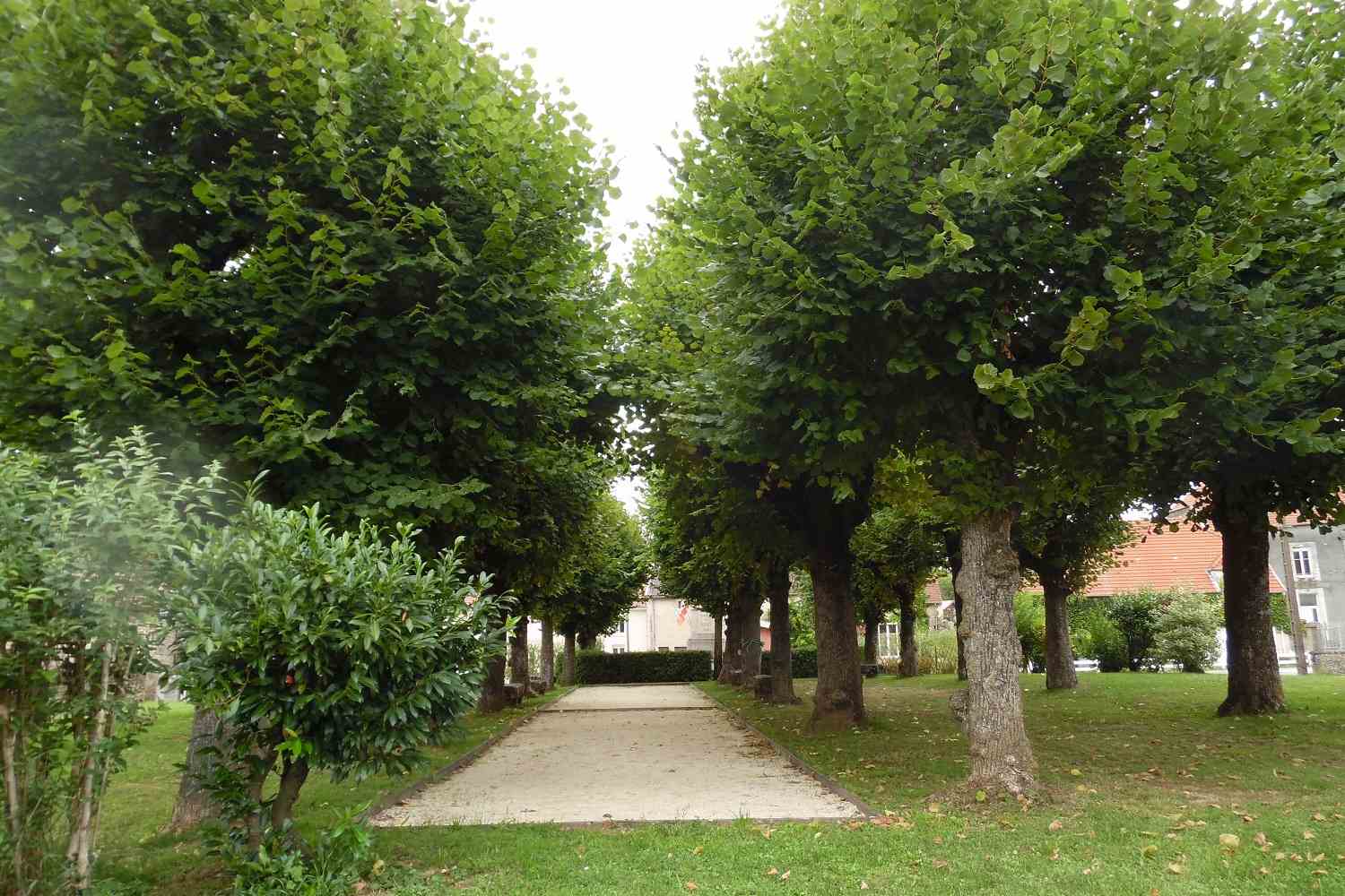 AIRE DE JEUX, TERAIN DE PETANQUE A ROSOY-SUR-AMANCE - photo 4