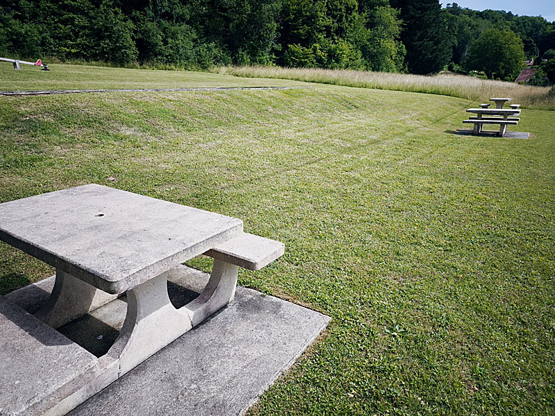 AIRE DE PIQUE-NIQUE ET DE JEUX AU BORD DU LAC DE LA MOUCHE - photo 2