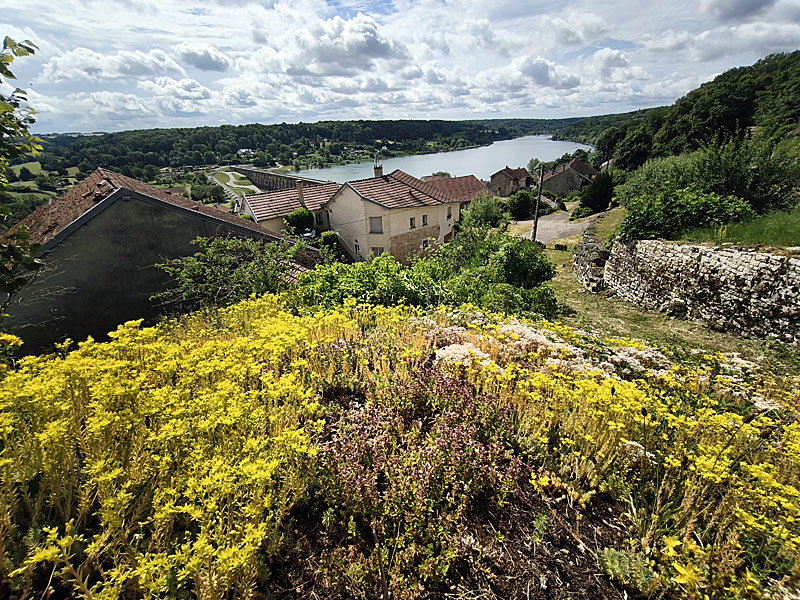 AIRE DE PIQUE-NIQUE DU POINT DE VUE DE SAINT-CIERGUES