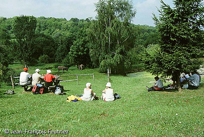 AIRE DE PIQUE-NIQUE DE LA FONTAINE DE SAINTS-GEOSMES