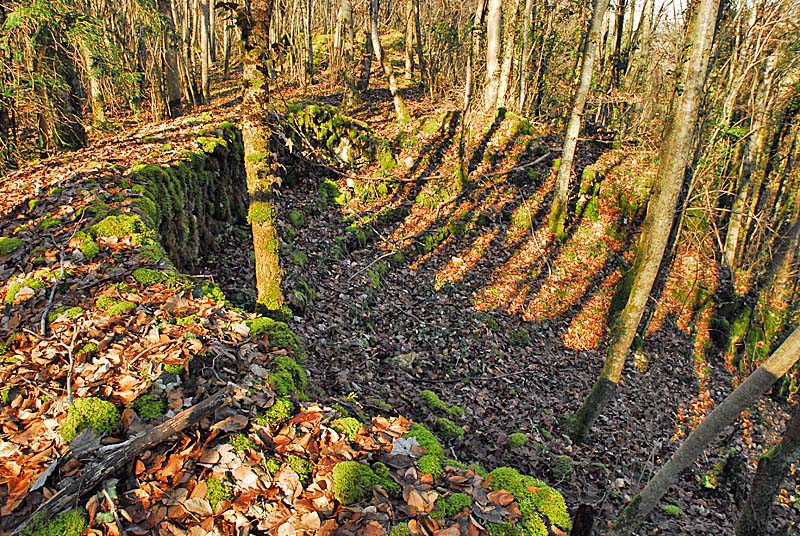 AMPHITHEATRES DE BREVOINES