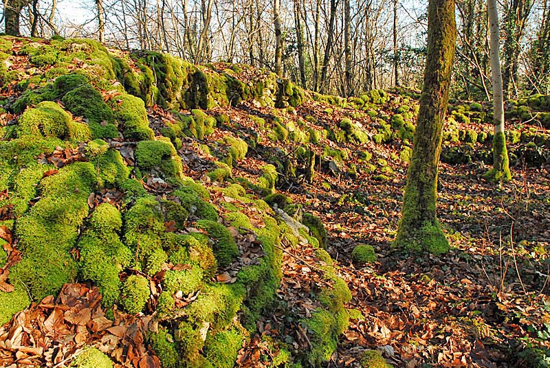 AMPHITHEATRES DE BREVOINES - photo 2