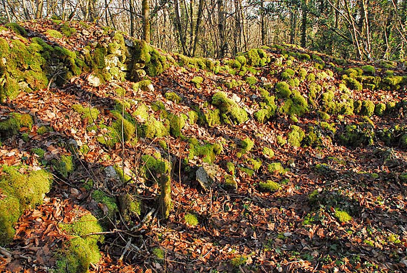 AMPHITHEATRES DE BREVOINES - photo 4