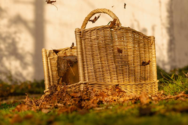 LES PANIERS DE LA SORCIÈRE