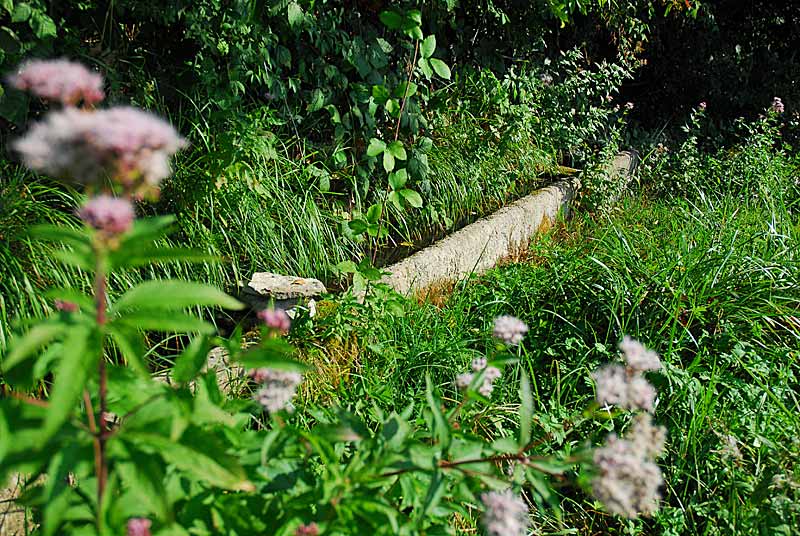 AUGES D'EAU VIVES A LAMARGELLE-AUX-BOIS, Vals-des-Tilles - photo 2