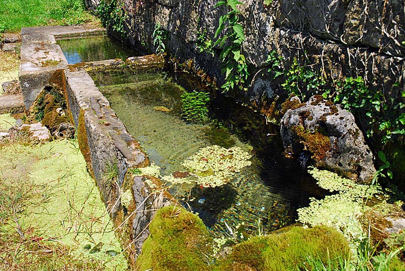 AUGES D'EAU VIVES A VIEUX-MOULINS, Perrancey-les-Vieux-Moulins