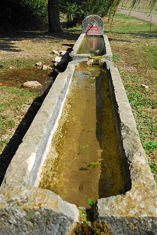 AUGES D'EAU VIVES A POINSENOT, Poinsenot
