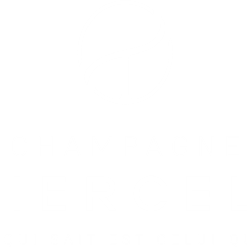 BASELINE BLANC (002)